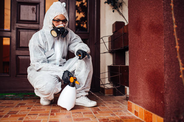 Reliable Bed Bug Control contractor in Scottsdale, AZ by Nex Pest Control