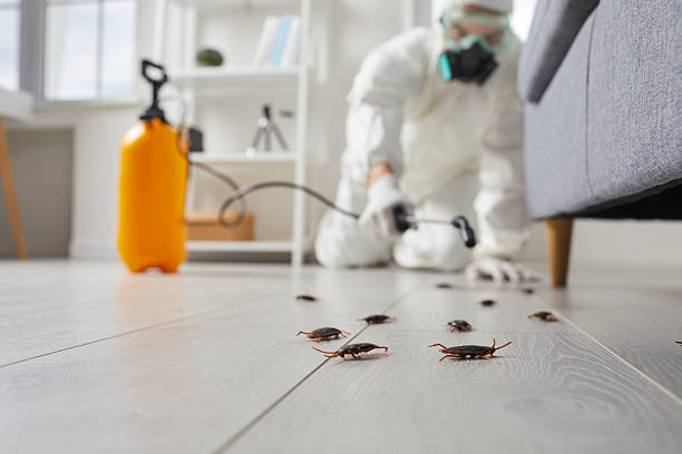 Trusted Termite Control service in Scottsdale, AZ - Nex Pest Control