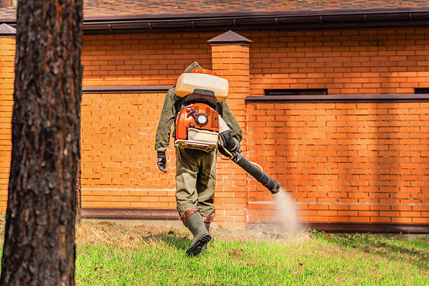 Trusted Emergency Pest Control service in Scottsdale, AZ - Nex Pest Control